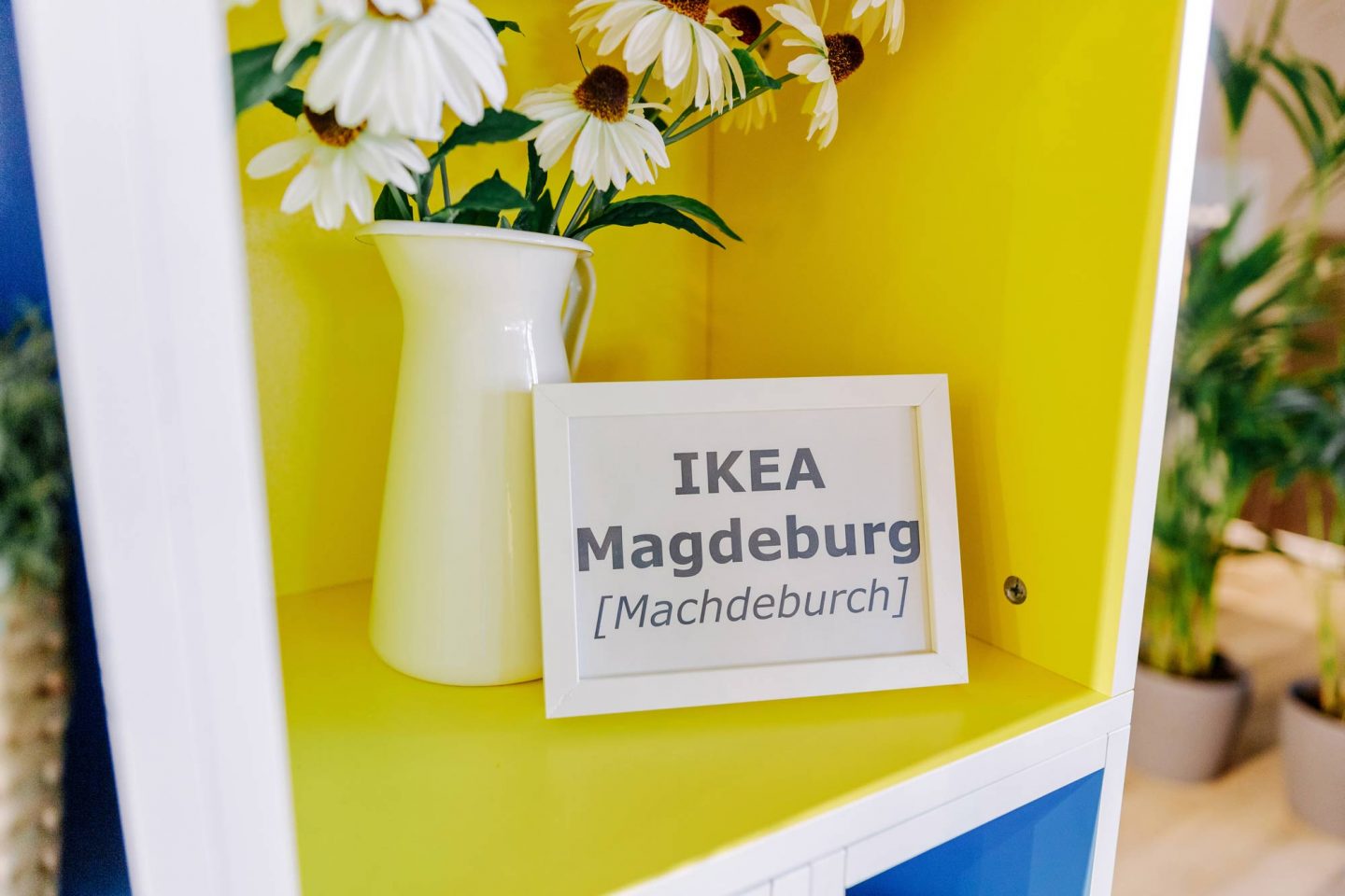 IKEA Neueröffnung @ Magdeburg © offenblende.de