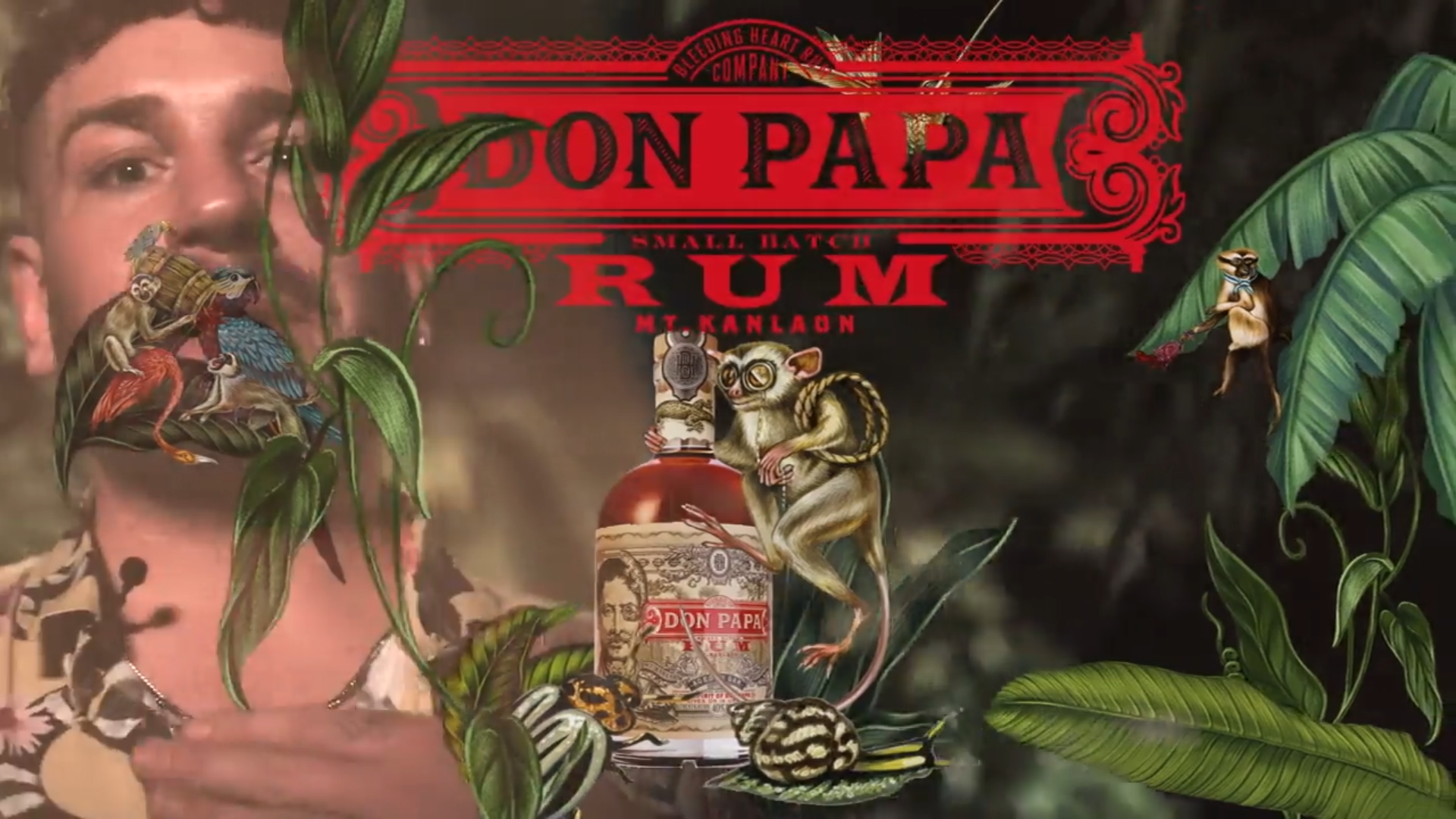 Homebar Sessions | Don Papa Rum | Videoproduktion für Social Media | Offenblende