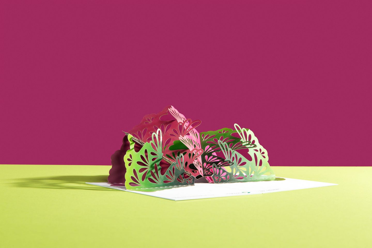 Produktfotografin für Werkzeuge Vanessa Leissring