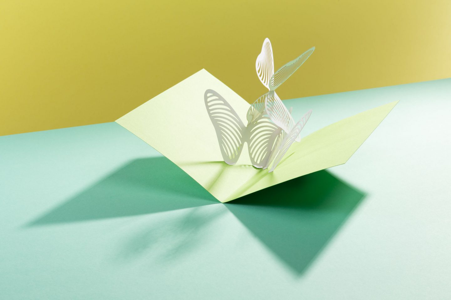 Produktfotografin für Werkzeuge Vanessa Leissring