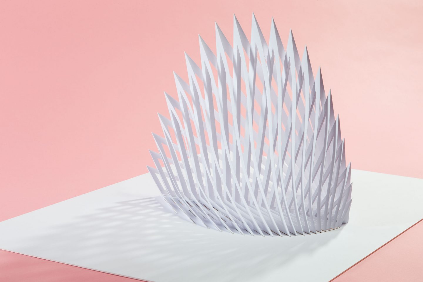 Produktfotografin für Werkzeuge Vanessa Leissring