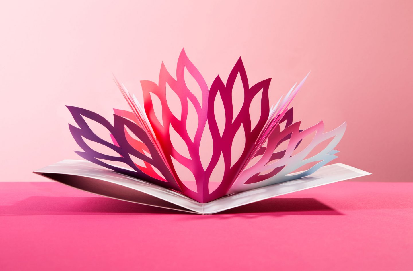 Produktfotografin für Werkzeuge Vanessa Leissring