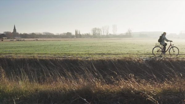 Imagefilm Kameramann Drose Stiftung / SDW - Hans