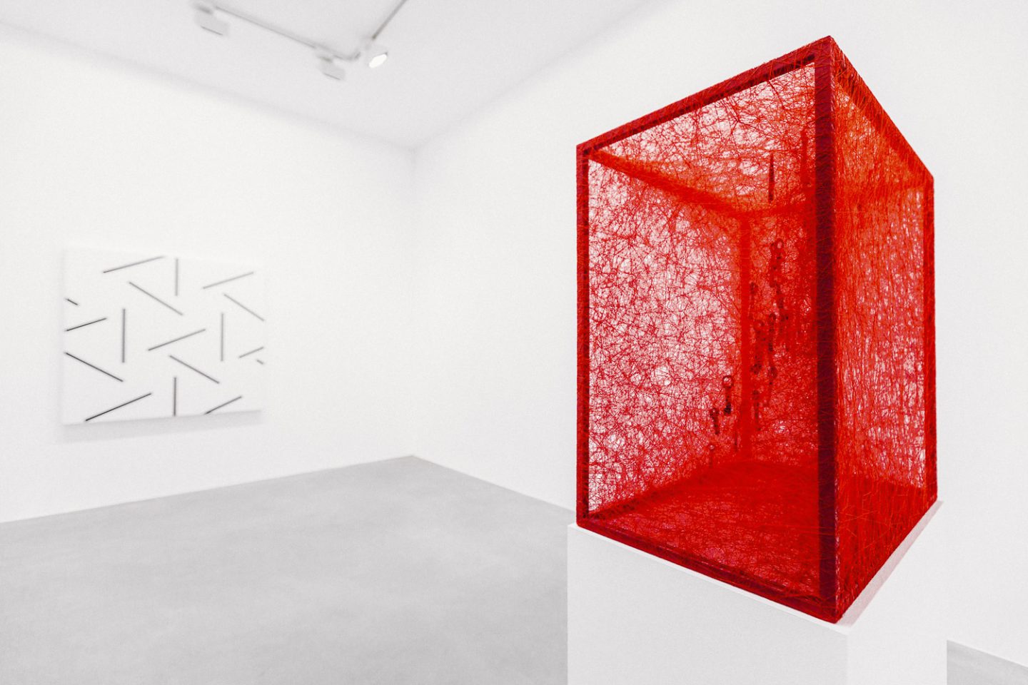 Markus Braumann - Foodfotografie